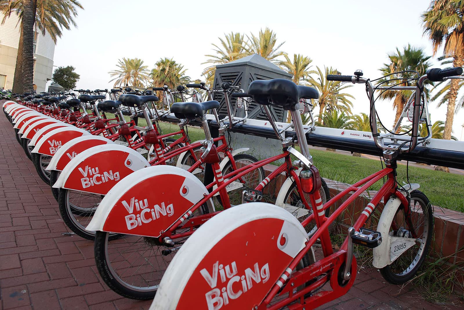 Bicicletas de Bicing aparcadas en una estación.