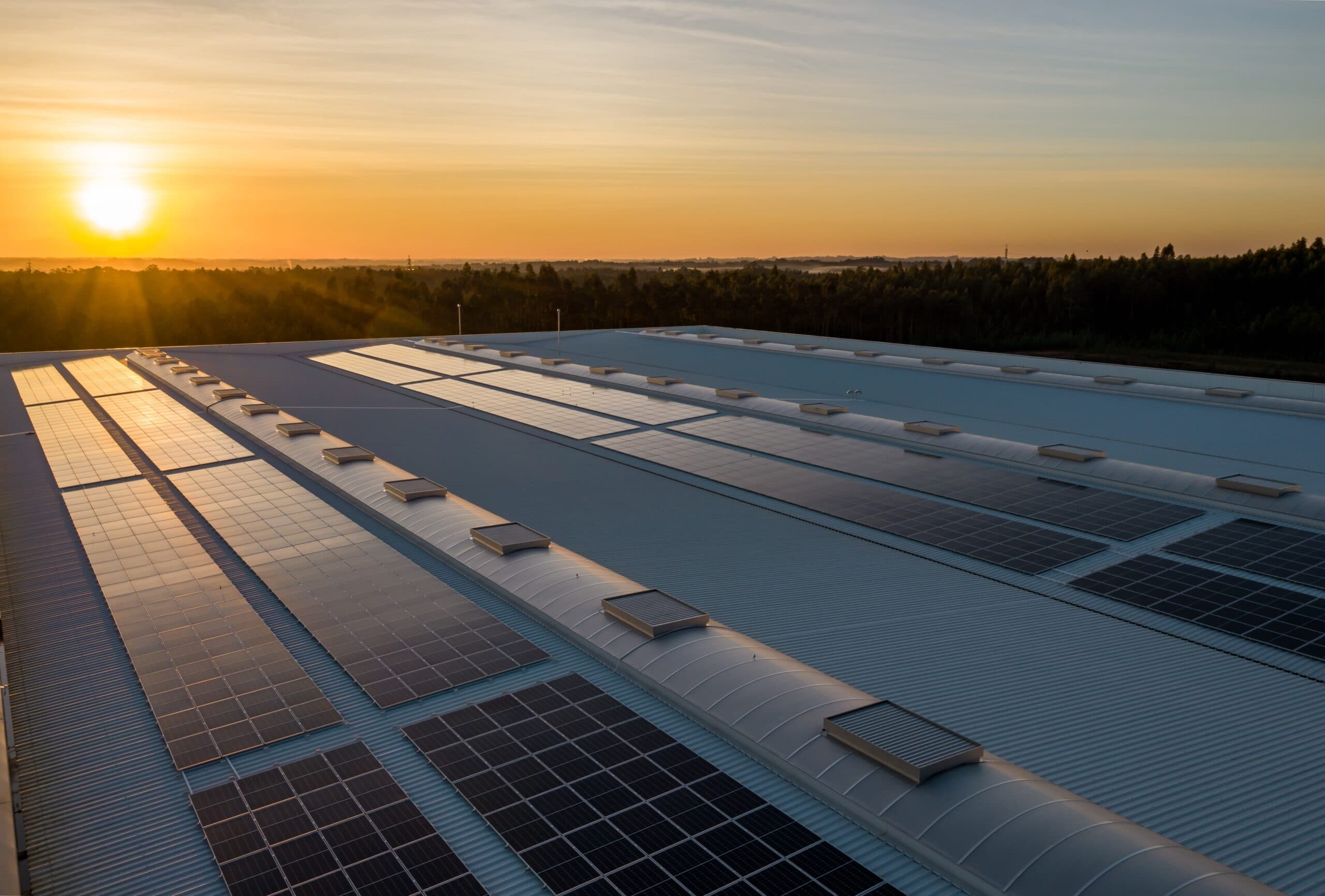 Paneles fotovoltaicos sobre la cubierta de una nave industrial al atardecer.